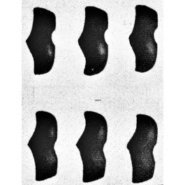 artgato202605301116101586535
