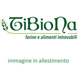 tibiona202605301211571596276