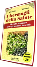 tibiona202605310451331700883