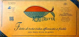 tibiona202605310617221709951