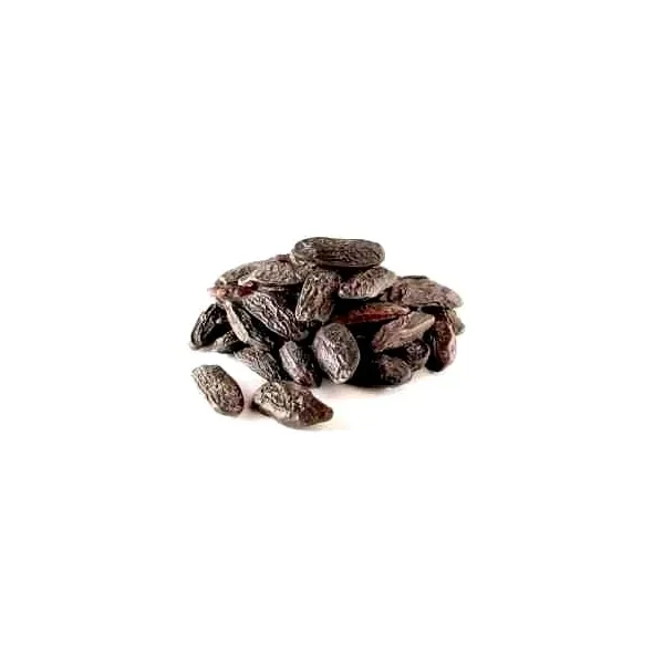 toquedechef202605301042501580076